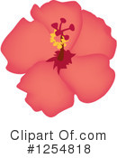 Hibiscus Clipart #1254818 by Amanda Kate