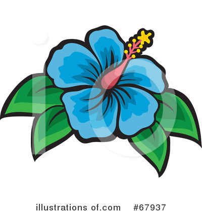 Royalty-Free (RF) Hibiscus Clipart Illustration by Rosie Piter - Stock Sample #67937