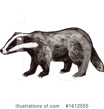 Honey Badger Clipart #1612555 by Vector Tradition SM