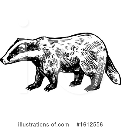 Badger Clipart #1612556 by Vector Tradition SM