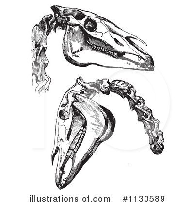 Royalty-Free (RF) Horse Anatomy Clipart Illustration by Picsburg - Stock Sample #1130589