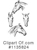Horse Anatomy Clipart #1135824 by Picsburg