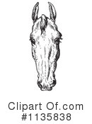 Horse Anatomy Clipart #1135838 by Picsburg