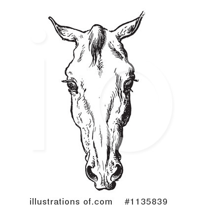 Royalty-Free (RF) Horse Anatomy Clipart Illustration by Picsburg - Stock Sample #1135839