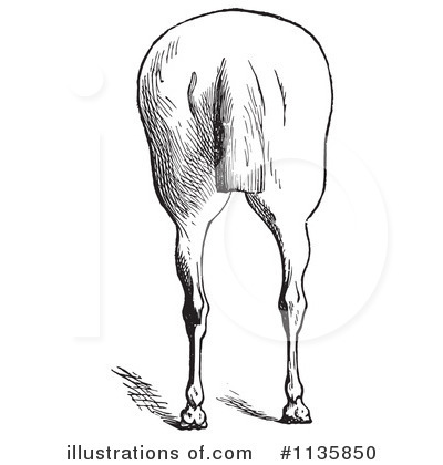 Royalty-Free (RF) Horse Anatomy Clipart Illustration by Picsburg - Stock Sample #1135850