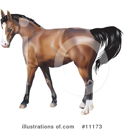 Royalty-Free (RF) Horse Clipart Illustration by AtStockIllustration - Stock Sample #11173
