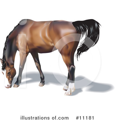 Royalty-Free (RF) Horse Clipart Illustration by AtStockIllustration - Stock Sample #11181