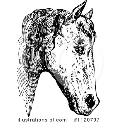 Royalty-Free (RF) Horse Clipart Illustration by Prawny Vintage - Stock Sample #1120797