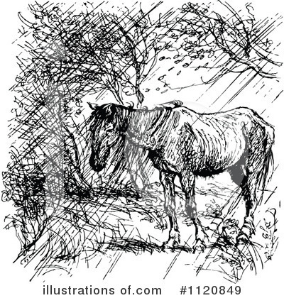 Royalty-Free (RF) Horse Clipart Illustration by Prawny Vintage - Stock Sample #1120849