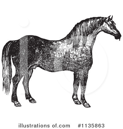 Royalty-Free (RF) Horse Clipart Illustration by Picsburg - Stock Sample #1135863