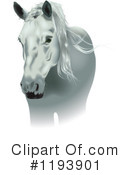 Horse Clipart #1193901 by dero