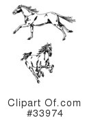 Horse Clipart #33974 by C Charley-Franzwa