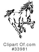 Horse Clipart #33981 by C Charley-Franzwa
