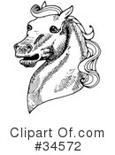 Horse Clipart #34572 by C Charley-Franzwa