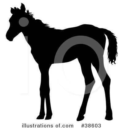 Horse Clipart #38603 by dero