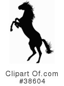 Horse Clipart #38604 by dero