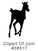 Horse Clipart #38617 by dero