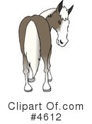 Horse Clipart #4612 by djart