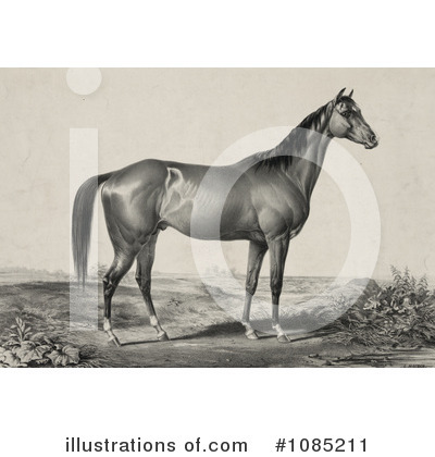 Royalty-Free (RF) Horses Clipart Illustration by JVPD - Stock Sample #1085211