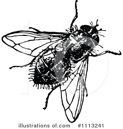 Royalty-Free (RF) House Fly Clipart Illustration by Prawny Vintage - Stock Sample #1113241