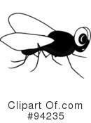 House Fly Clipart #94235 by Pams Clipart