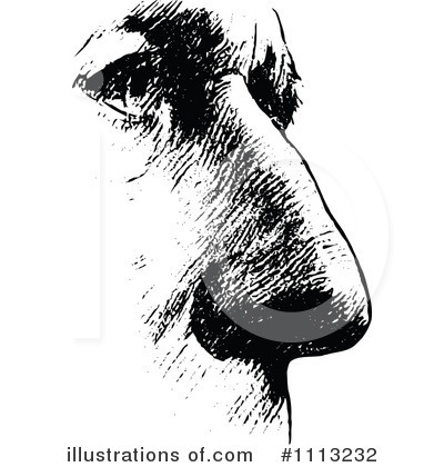 Face Clipart #1113232 by Prawny Vintage
