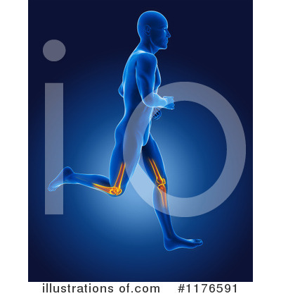 Royalty-Free (RF) Human Anatomy Clipart Illustration by KJ Pargeter - Stock Sample #1176591
