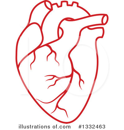Human Heart Clipart #1332463 by Vector Tradition SM