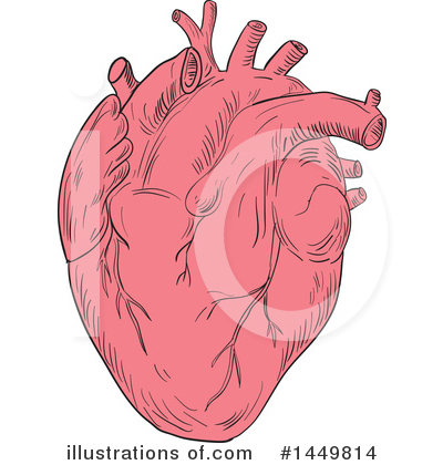 Royalty-Free (RF) Human Heart Clipart Illustration by patrimonio - Stock Sample #1449814