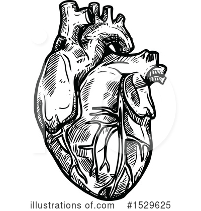 Royalty-Free (RF) Human Heart Clipart Illustration by Vector Tradition SM - Stock Sample #1529625