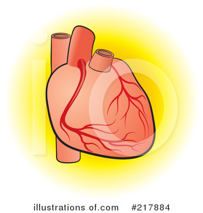 Royalty-Free (RF) Human Heart Clipart Illustration by Lal Perera - Stock Sample #217884