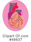 Human Heart Clipart #48637 by Prawny