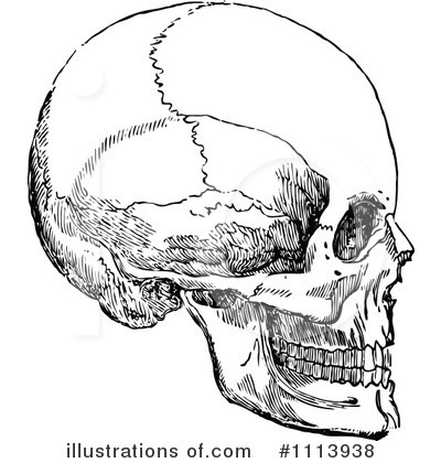 Royalty-Free (RF) Human Skull Clipart Illustration by Prawny Vintage - Stock Sample #1113938