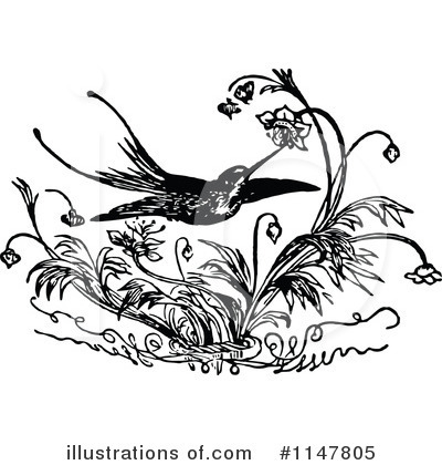 Royalty-Free (RF) Hummingbird Clipart Illustration by Prawny Vintage - Stock Sample #1147805