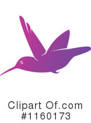 Hummingbird Clipart #1160173 by Vector Tradition SM