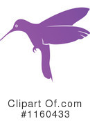 Hummingbird Clipart #1160433 by Vector Tradition SM
