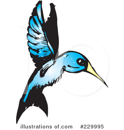 Hummingbird Clipart #229995 by xunantunich