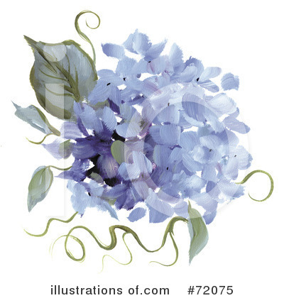 Royalty-Free (RF) Hydrangea Clipart Illustration by inkgraphics - Stock Sample #72075