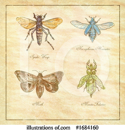 Moth Clipart #1684160 by patrimonio