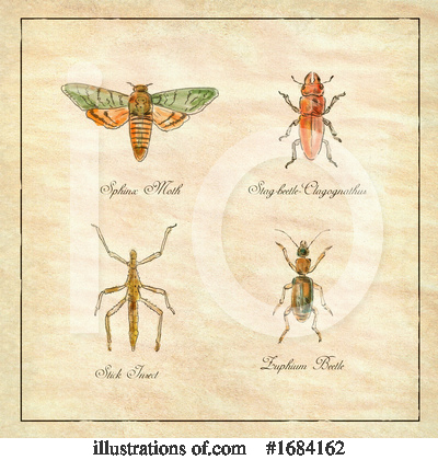 Royalty-Free (RF) Insect Clipart Illustration by patrimonio - Stock Sample #1684162