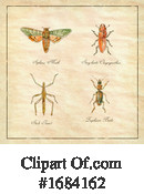 Insect Clipart #1684162 by patrimonio