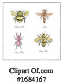 Insect Clipart #1684167 by patrimonio