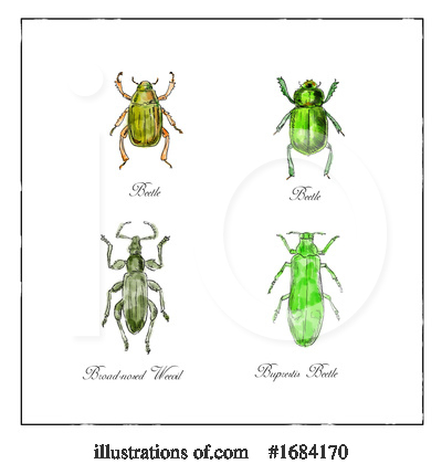 Royalty-Free (RF) Insect Clipart Illustration by patrimonio - Stock Sample #1684170