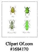 Insect Clipart #1684170 by patrimonio