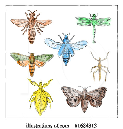 Dragonfly Clipart #1684313 by patrimonio