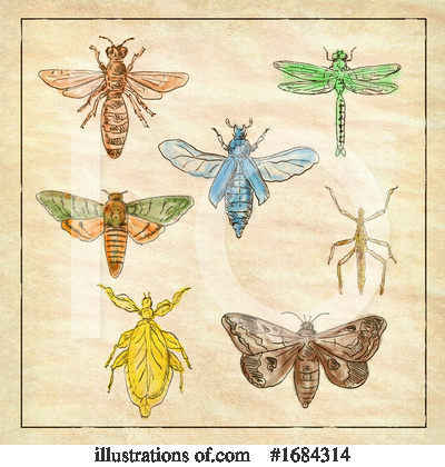Dragonfly Clipart #1684314 by patrimonio