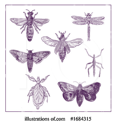 Royalty-Free (RF) Insect Clipart Illustration by patrimonio - Stock Sample #1684315