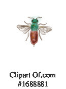 Insect Clipart #1688881 by patrimonio