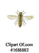 Insect Clipart #1688882 by patrimonio