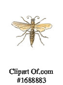 Insect Clipart #1688883 by patrimonio